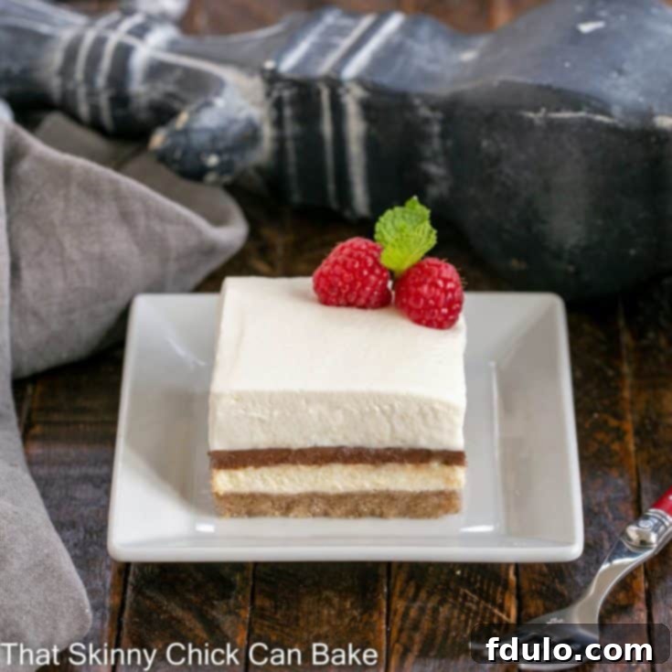 Layered chocolate dessert on a white square ceramic plate with raspberry garnish