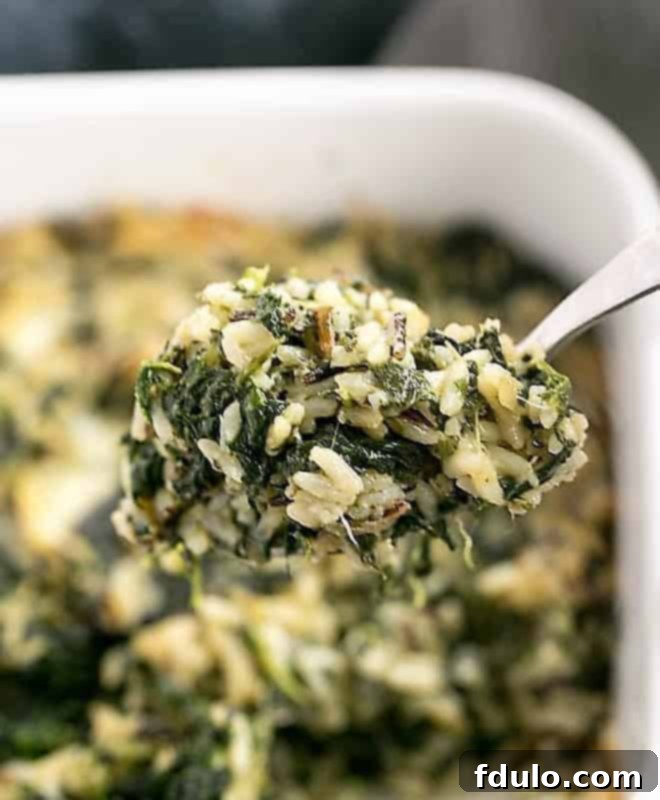 A spoonful of baked Cheesy Spinach Rice Casserole, showing the creamy rice, spinach, and melted cheese.