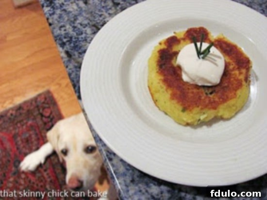 Gruyere Potato Cakes - Cheesy, herbed mashed potatoes fried to perfection A plate of Gruyere Potato Cakes next to a happy yellow lab, highlighting the family-friendly nature of the dish.