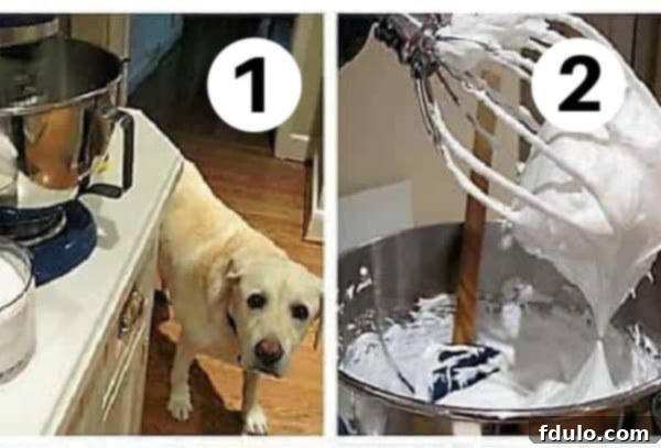 Mini Pavlova Process Shots numbered 1, 2. Illustrates gathering ingredients and beating egg whites until glossy and billowy.