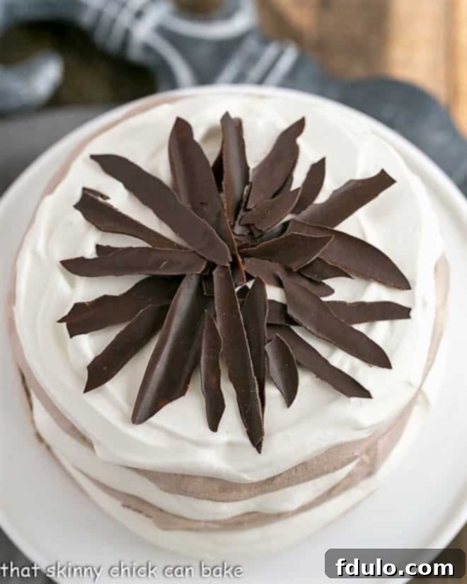 Overhead view of Layered Chocolate Meringue Cake, garnished with chocolate shards.