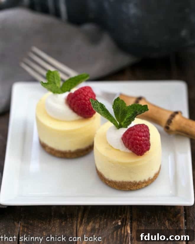 Mini Margarita Cheesecakes topped with fresh raspberries on a square white plate, ready for serving.