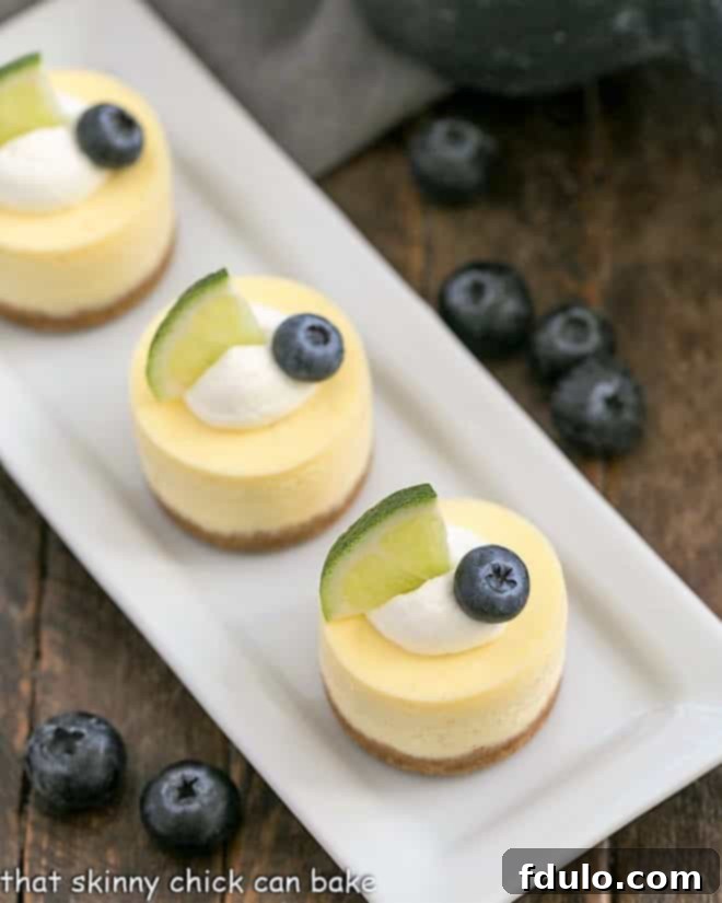 Mini Cheesecakes on a white rectangular tray viewed from above, showcasing their perfect golden crusts.