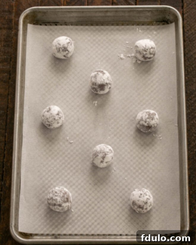 Step 8: Roll the chilled dough into balls, then roll them generously in powdered sugar.