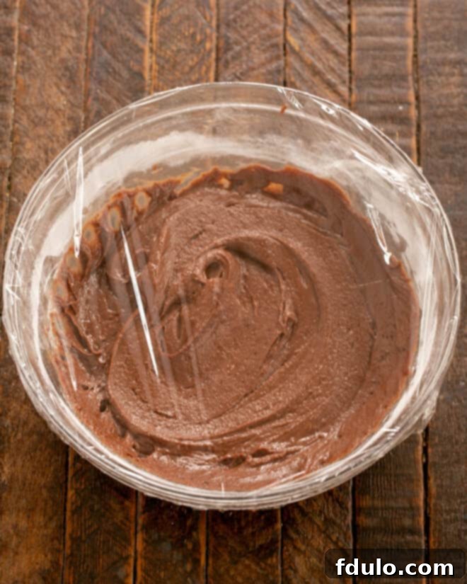 Step 7: Cover the chocolate cookie dough and chill in the refrigerator for at least 20 minutes.