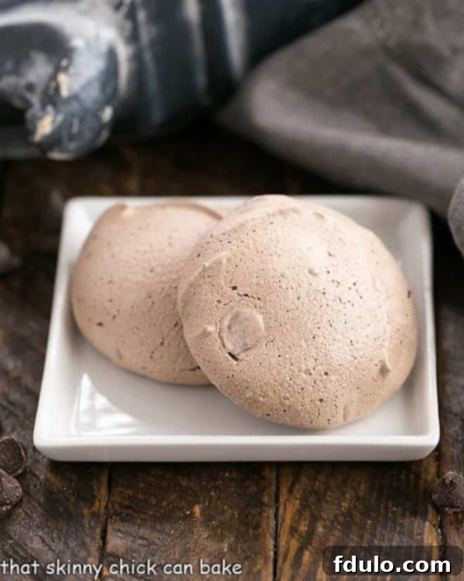 Chocolate Chip Meringues - Crisp exteriors with chewy, chocolate centers Two perfectly baked Chocolate Chip Meringues with a crisp exterior and visible chocolate chips, presented elegantly on a square white plate.