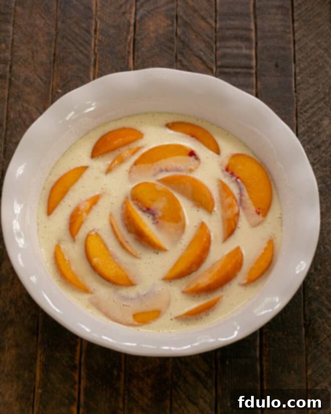 Luscious Peach Clafoutis 4 Sliced peaches arranged over a layer of clafoutis batter in a baking dish.
