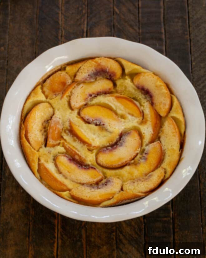 Luscious Peach Clafoutis 6 A freshly baked peach clafoutis, golden brown and ready to be served.