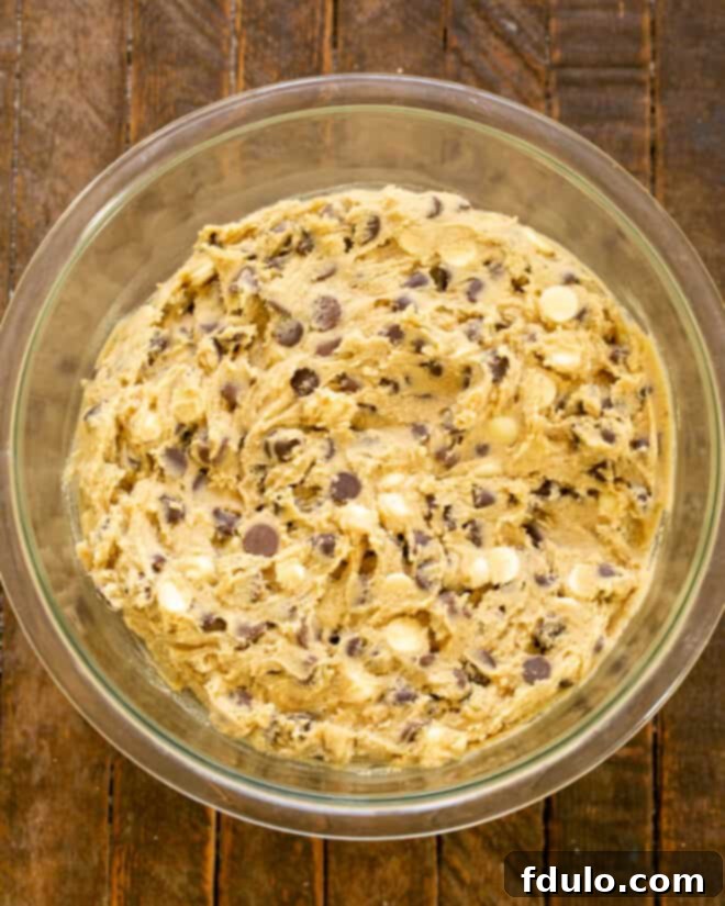 The chocolate chip cookie dough after all ingredients have been thoroughly mixed.