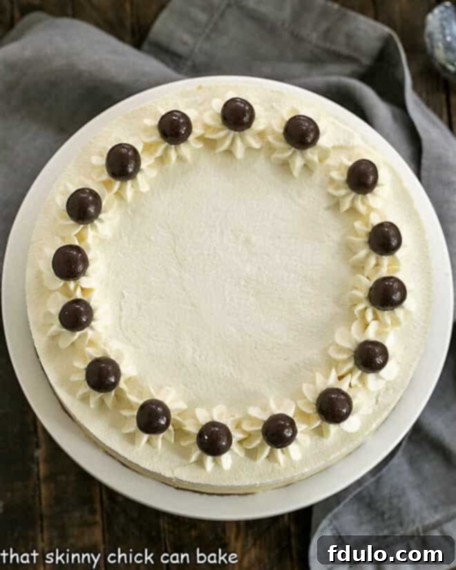 An inviting overhead view of a beautifully prepared Tiramisu Cheesecake on a white cake stand, dusted with cocoa powder.