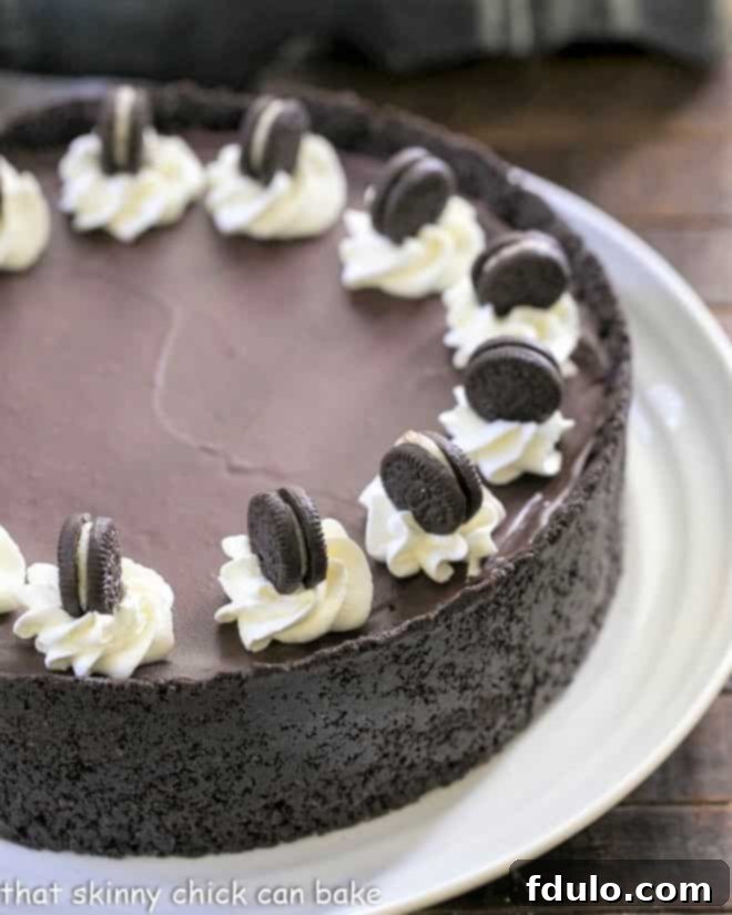 Decadent No-Bake Oreo Cheesecake with chocolate ganache and mini Oreos on a white serving plate, perfect for any celebration.