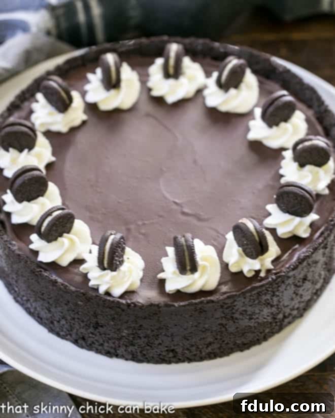 Close-up angled view of the top of a finished No-Bake Chocolate Cheesecake, beautifully garnished and ready to serve.