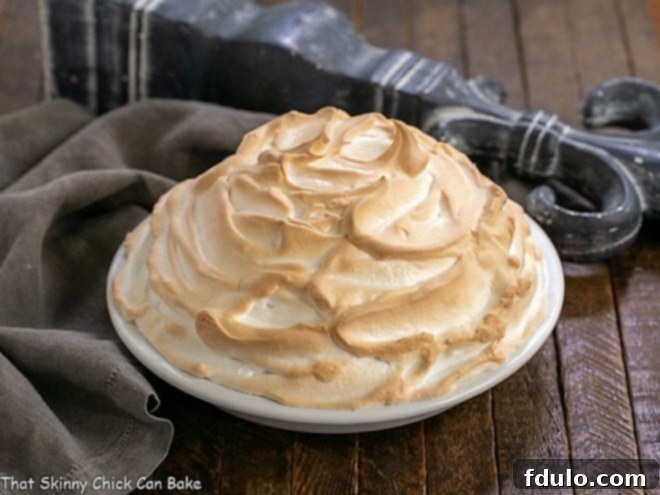 Side view of brownie baked alaska