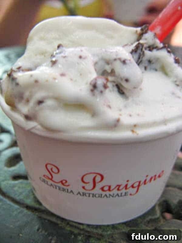 Italian Gelato in a paper cup in Florence, Italy, providing inspiration for desserts.