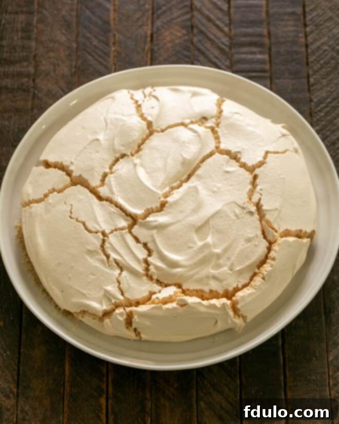 The meringue pavlova base baking in the oven, illustrating the low and slow cooking process required for a perfect meringue.