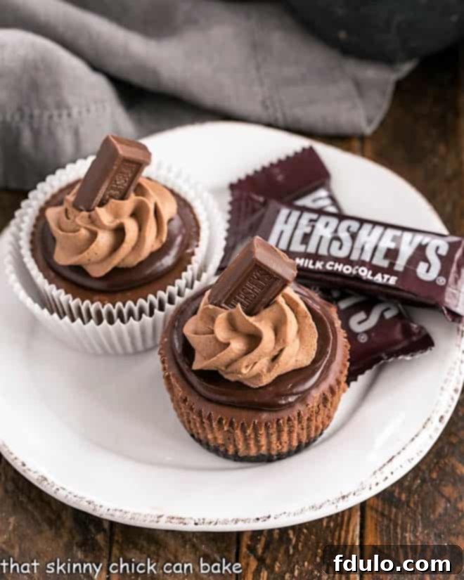 Two glistening chocolate mini cheesecakes, artfully topped with smooth ganache and delicate chocolate whipped cream, resting on a pristine round white plate. A perfect individual dessert.