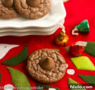 Double Chocolate Thumbprints on a felt holiday stocking.