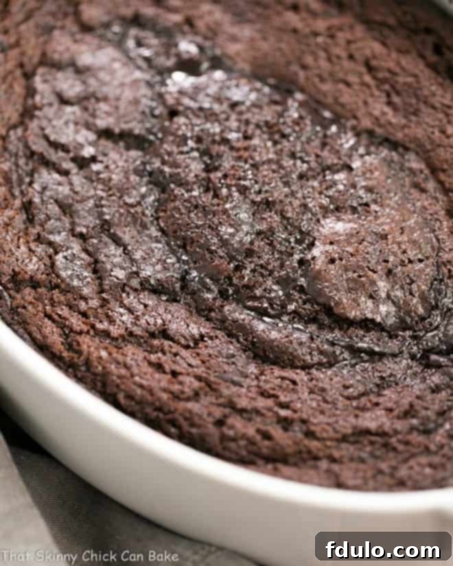 Baked Hot Fudge Pudding Cake in a white oval baking dish.